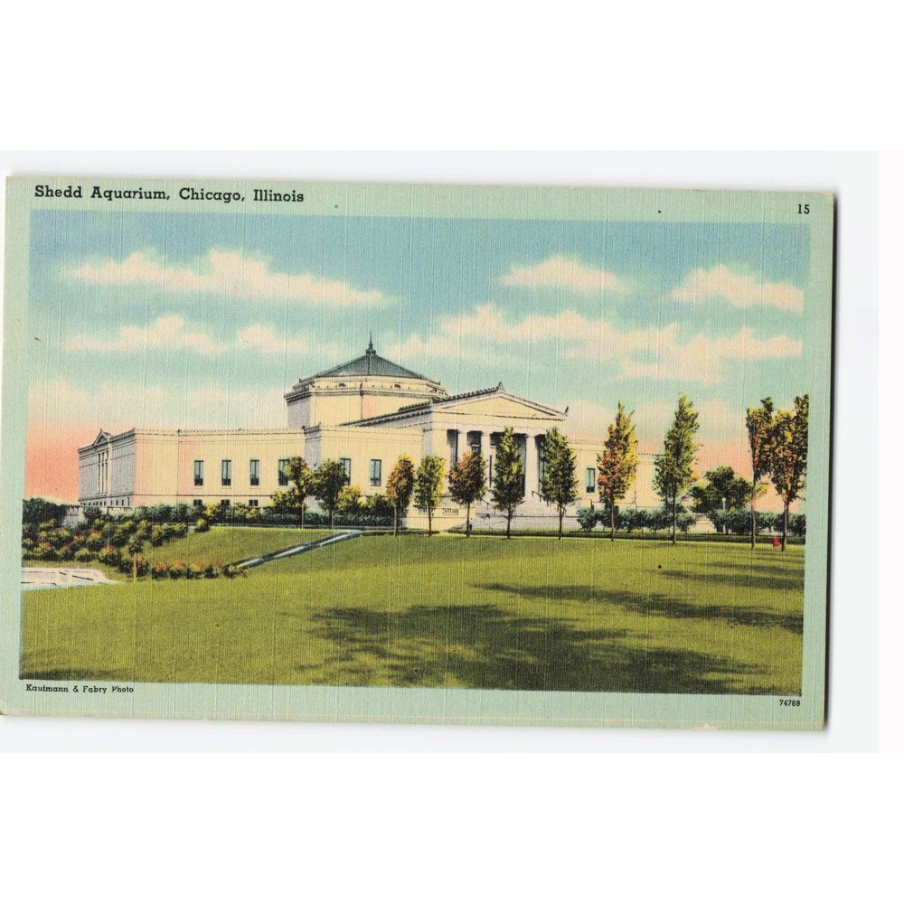 Vintage Shedd Aquarium Chicago Illinois Linen Postcard Tichnor Quality Views 15
